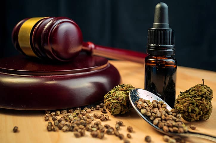 Cannabis buds and seeds pictured with a gavel and a bottle of CBD oil